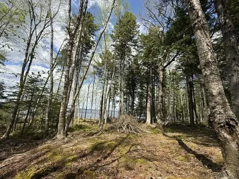 LOT12PART Old Indian Trail Road East Machias ME 04630