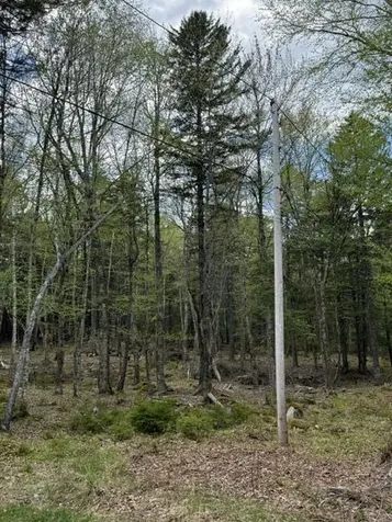 LOT12PART Old Indian Trail Road East Machias ME 04630
