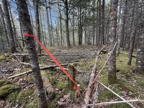 LOT12PART Old Indian Trail Road East Machias ME 04630