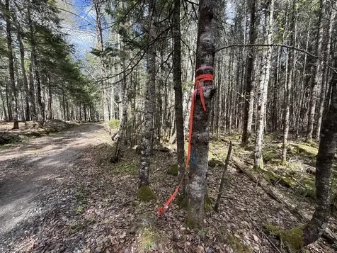 LOT12PART Old Indian Trail Road East Machias ME 04630