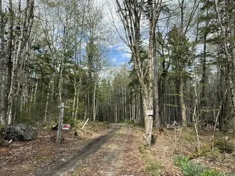 LOT12PART Old Indian Trail Road East Machias ME 04630