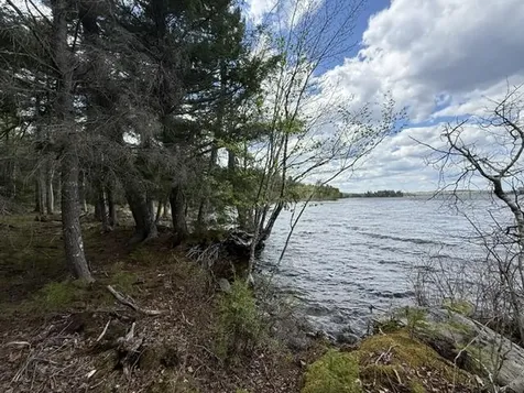 LOT12PART Old Indian Trail Road East Machias ME 04630