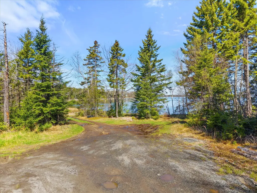 462 Rays Point Road Milbridge ME 04658