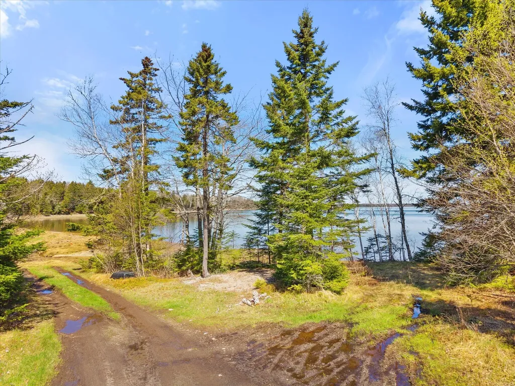 462 Rays Point Road Milbridge ME 04658