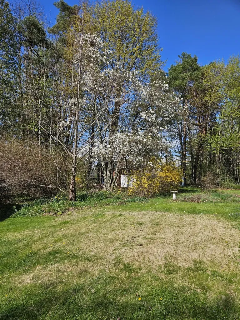 249 Kenduskeag Avenue Bangor ME 04401