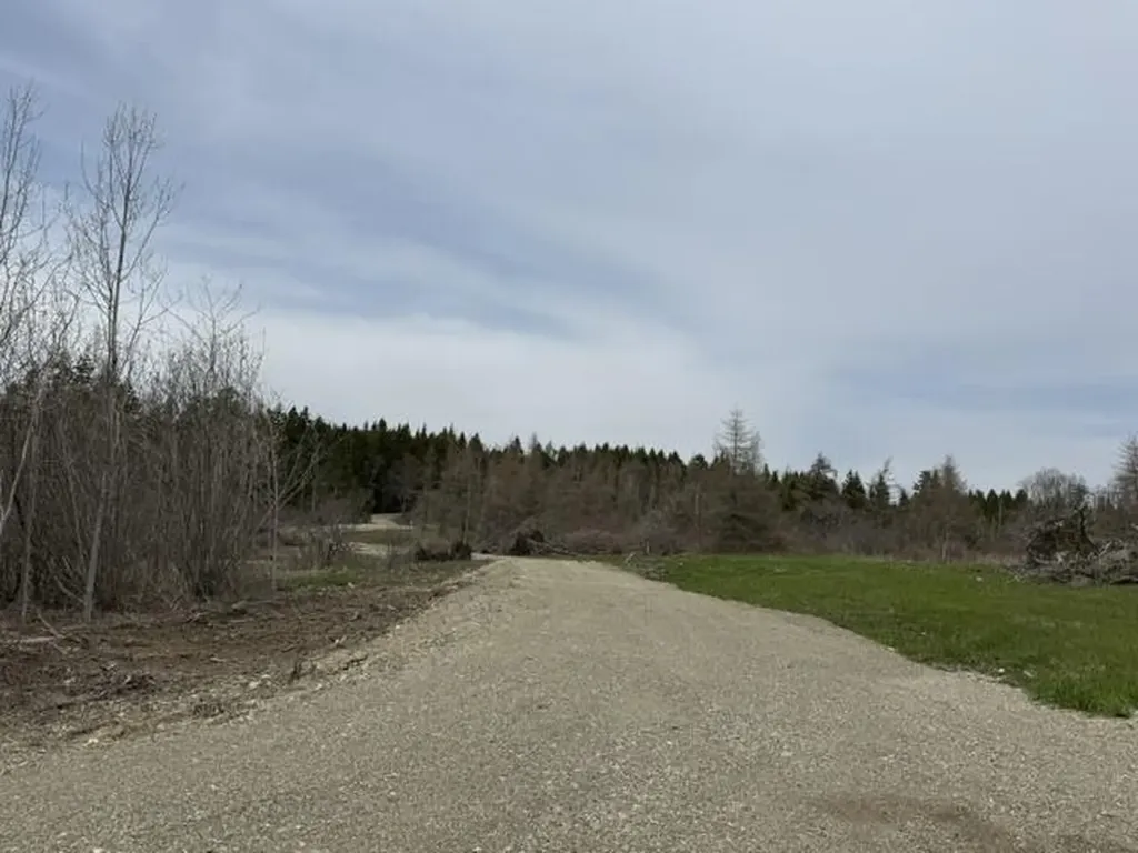 Lot 2 Holmes Bay Farms Road Whiting ME 04691