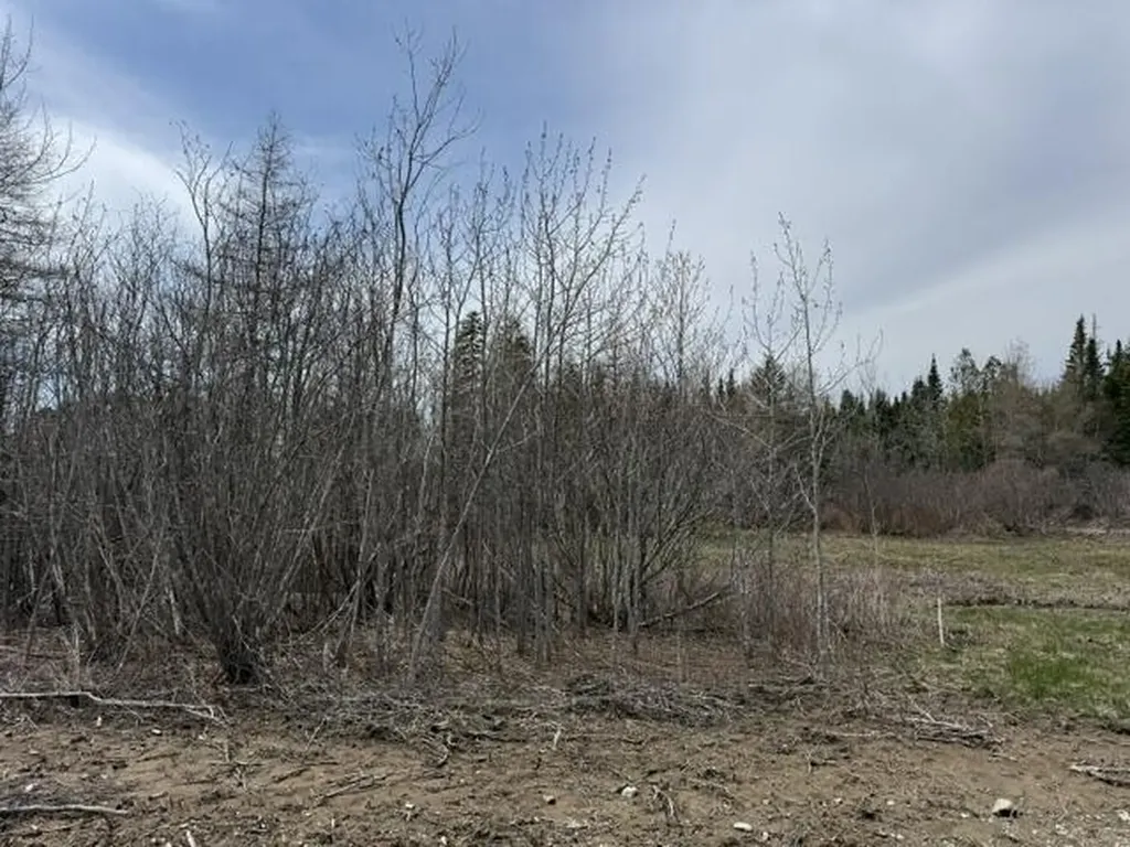 Lot 2 Holmes Bay Farms Road Whiting ME 04691