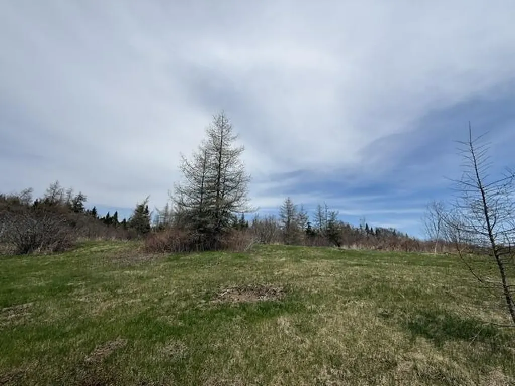 Lot 3 Holmes Bay Farms Road Whiting ME 04691