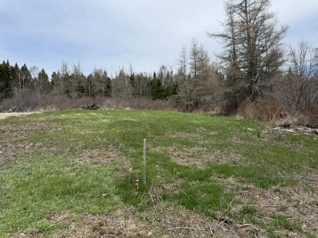 Lot 3 Holmes Bay Farms Road Whiting ME 04691