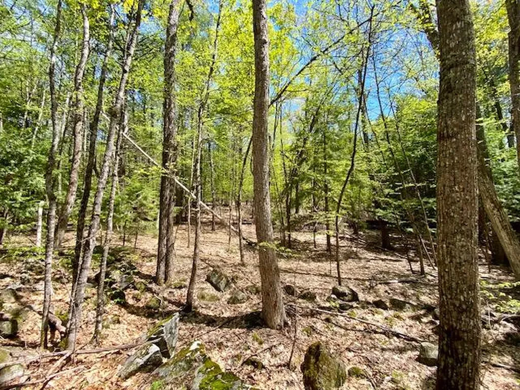 1029 North Road Parsonsfield ME 04047