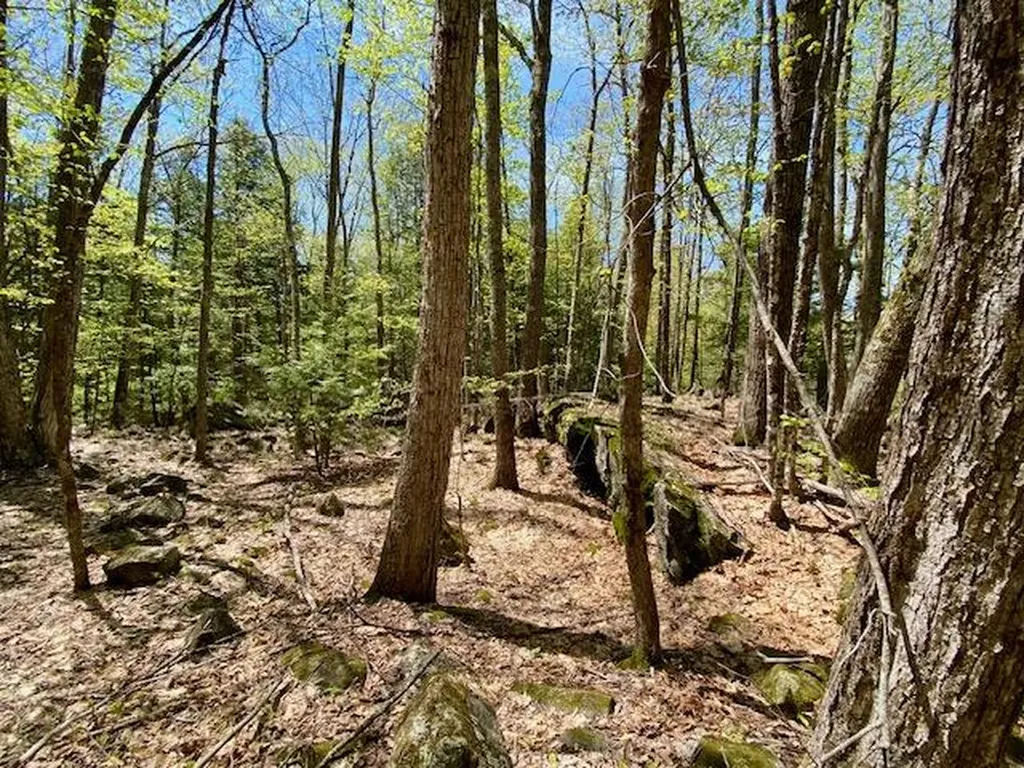 1029 North Road Parsonsfield ME 04047