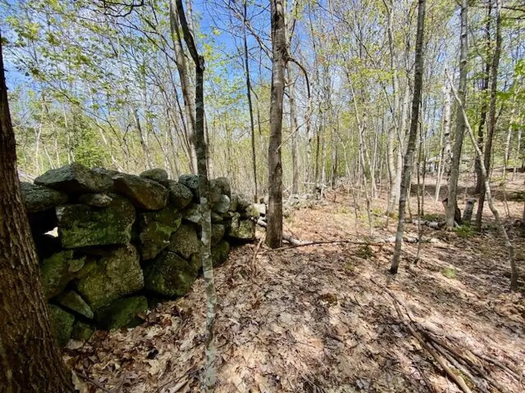 1029 North Road Parsonsfield ME 04047