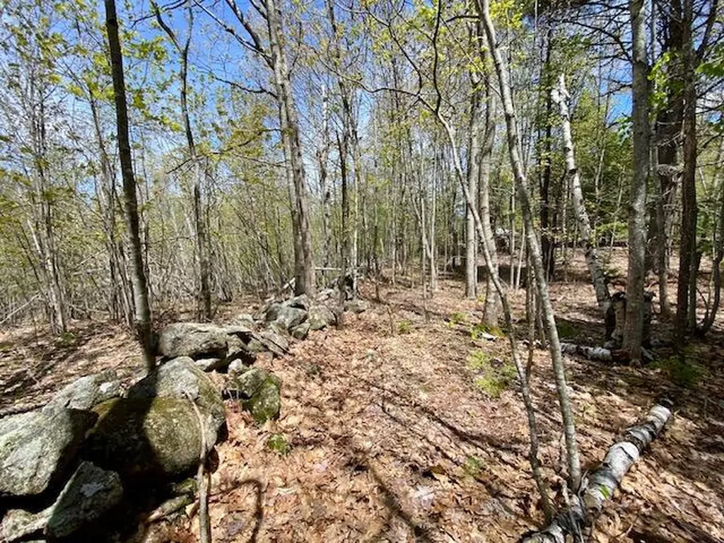 1029 North Road Parsonsfield ME 04047