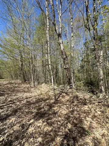 250 E Jay Road Jay ME 04239