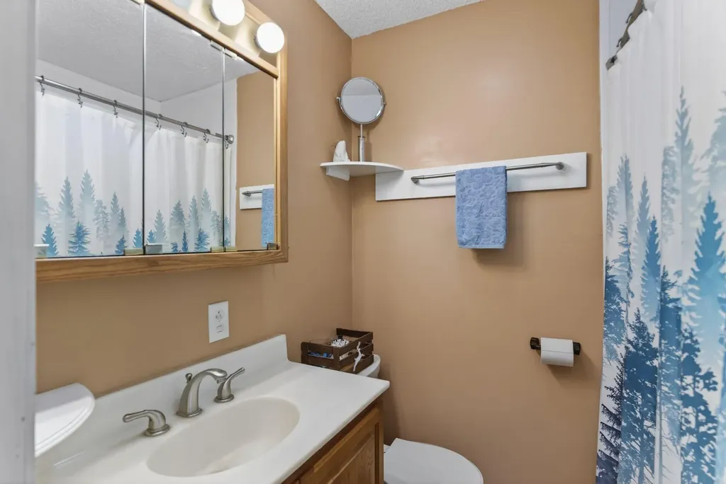 49 Mary Lane Oakland ME 04963