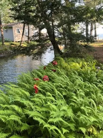 235 Lake View Drive Smithfield ME 04978