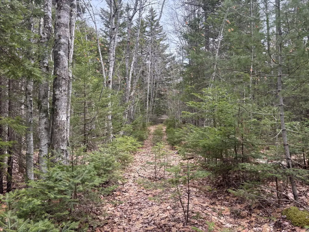 M11L17&17C Rogers Point Road Steuben ME 04680