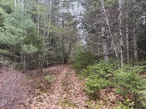 M11L17&17C Rogers Point Road Steuben ME 04680