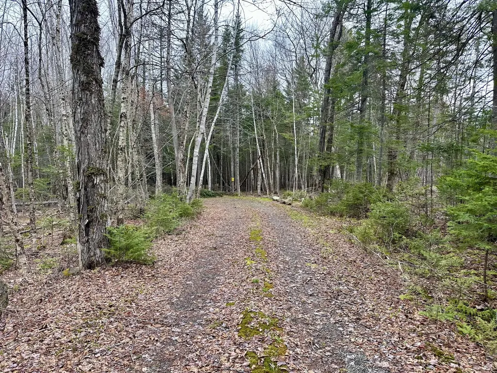 2318 Toe Of The Boot Road Tomhegan Twp ME 04478