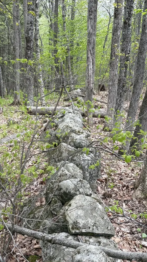 Lot #042 Tower Road Vienna ME 04360