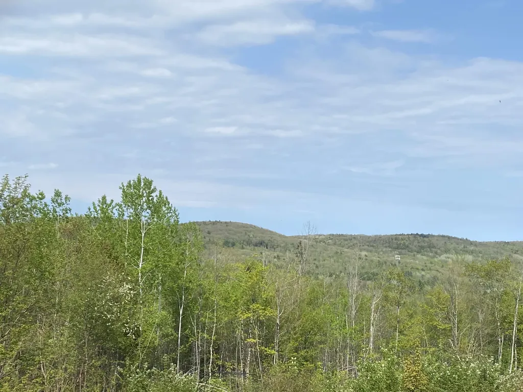 Lot #042 Tower Road Vienna ME 04360