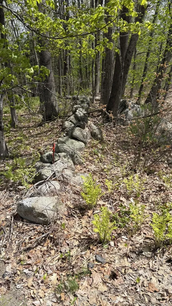 Lot #042 Tower Road Vienna ME 04360