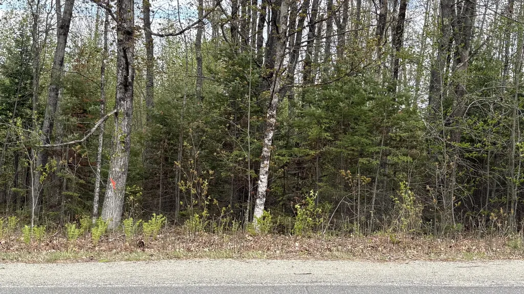 Lot #042 Tower Road Vienna ME 04360