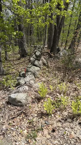 Lot #042 Tower Road Vienna ME 04360