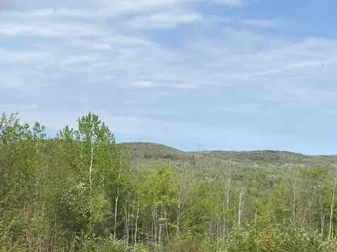 Lot #042 Tower Road Vienna ME 04360