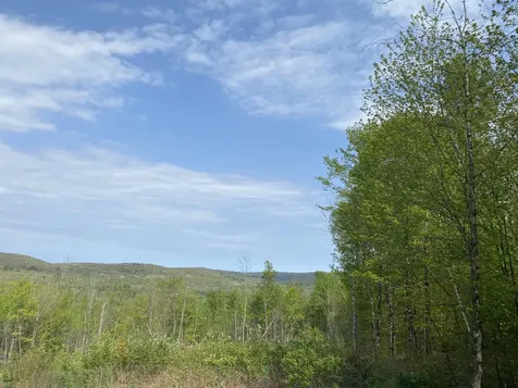 Lot #042 Tower Road Vienna ME 04360