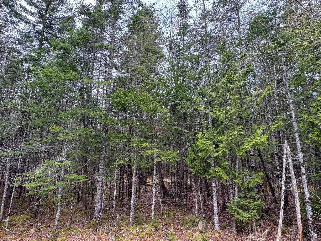 58 High Head Road East Machias ME 04630