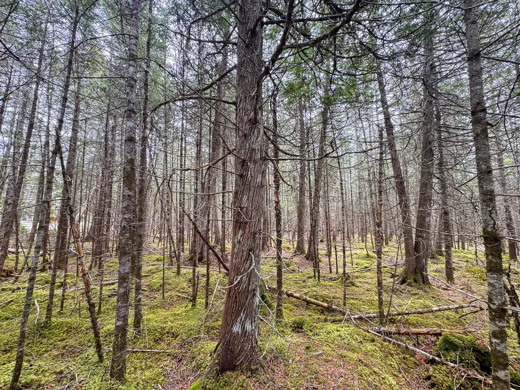 58 High Head Road East Machias ME 04630