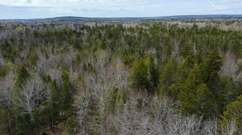 58 High Head Road East Machias ME 04630