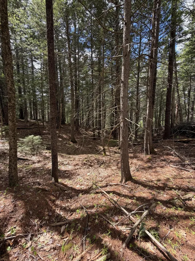 108B Flying Point Road Freeport ME 04032