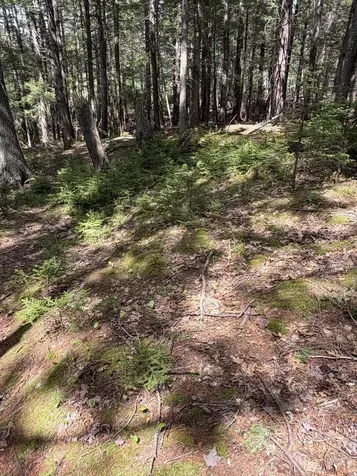 108B Flying Point Road Freeport ME 04032