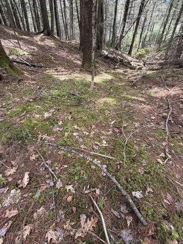 108B Flying Point Road Freeport ME 04032