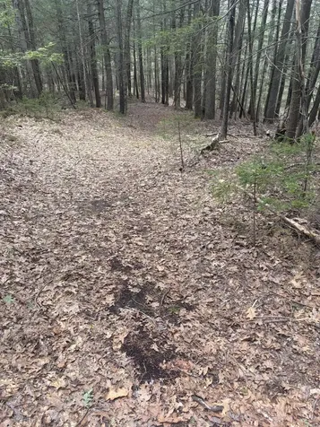 108B Flying Point Road Freeport ME 04032