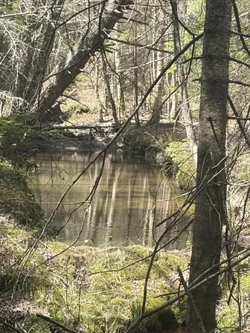 108B Flying Point Road Freeport ME 04032