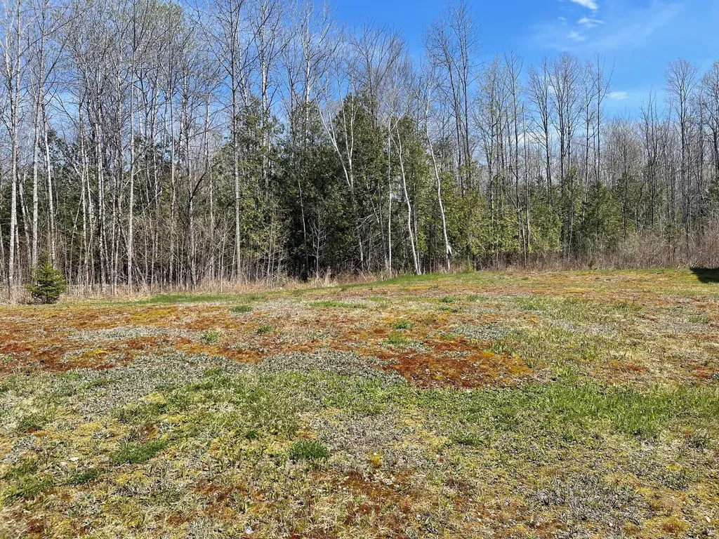 319 Dexter Road Saint Albans ME 04971