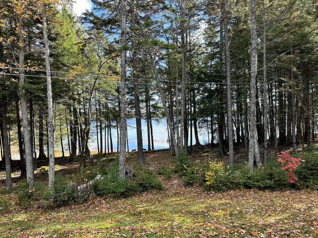 10 Hemlock Point Northfield ME 04654
