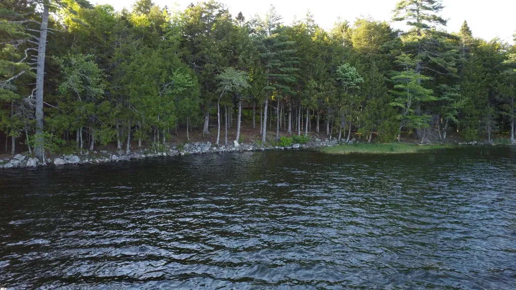 10 Hemlock Point Northfield ME 04654