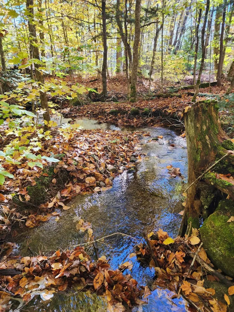 Off Willigar Road Island Falls ME 04747