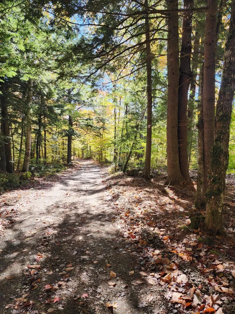 Off Willigar Road Island Falls ME 04747
