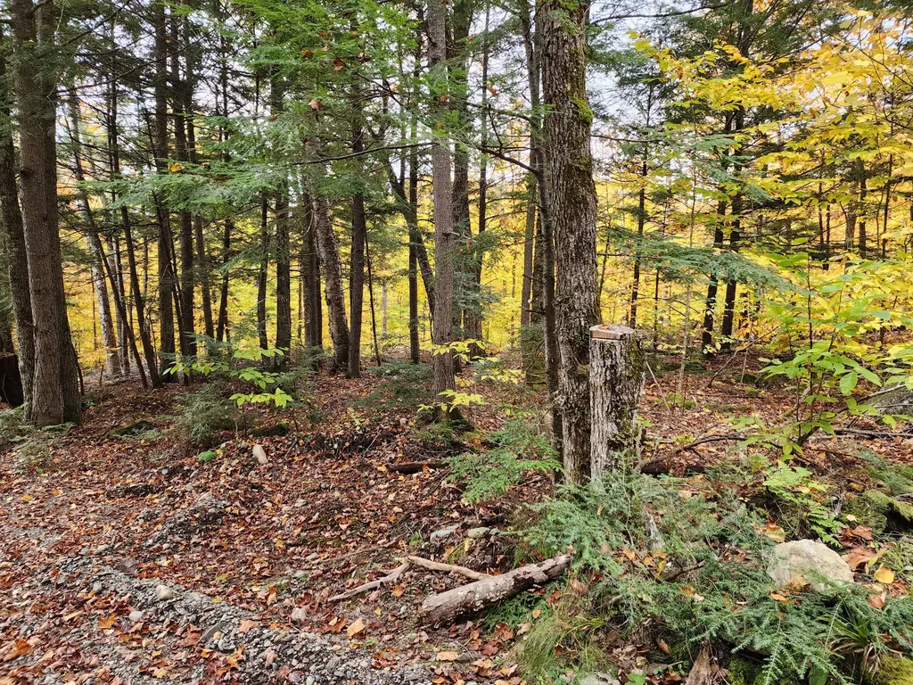 Off Willigar Road Island Falls ME 04747