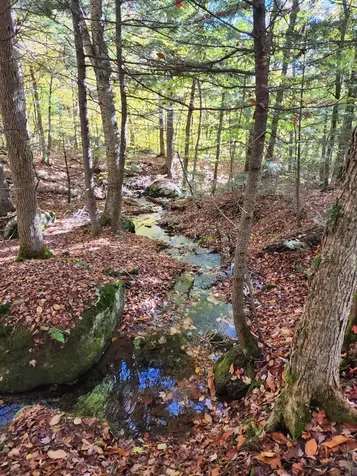 Off Willigar Road Island Falls ME 04747