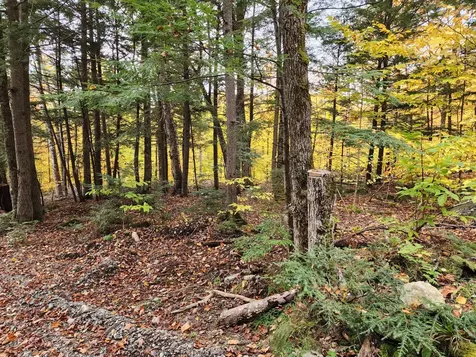 Off Willigar Road Island Falls ME 04747