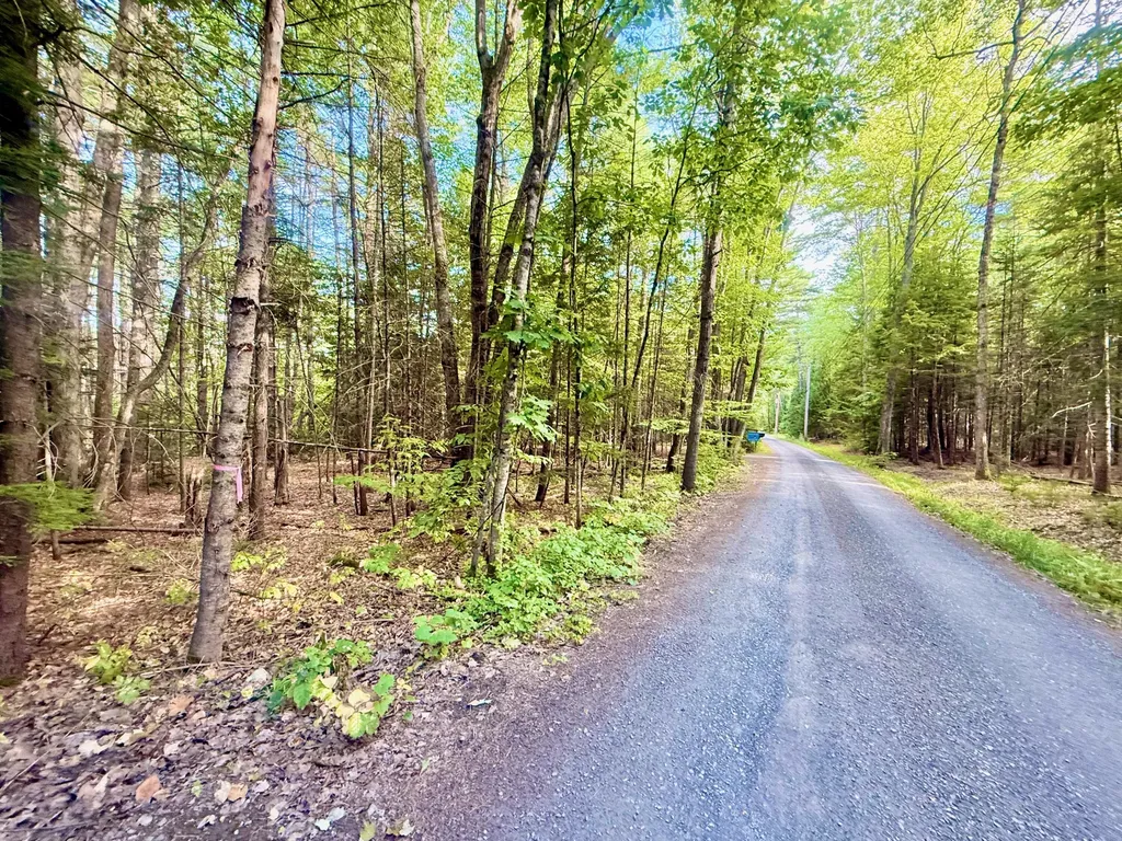 66 Nickerson Lane Rome ME 04963
