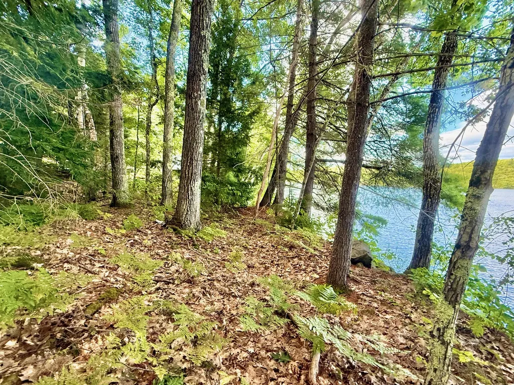 66 Nickerson Lane Rome ME 04963
