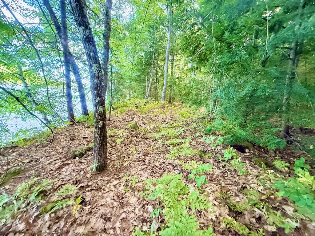 66 Nickerson Lane Rome ME 04963