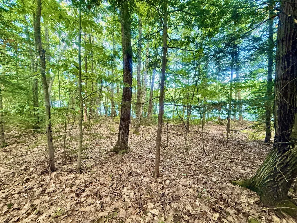 66 Nickerson Lane Rome ME 04963